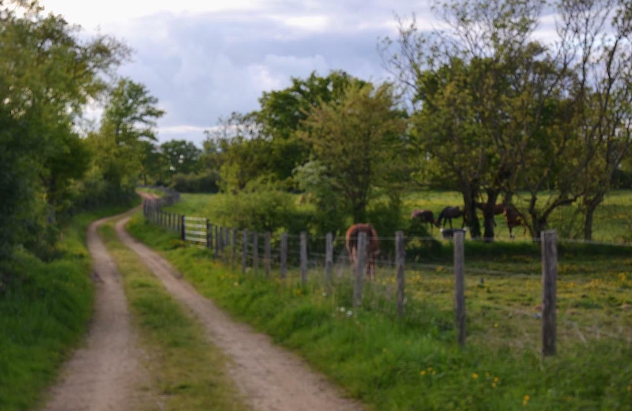 Gite Au Haras Les Aubiers Kültér fotó